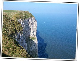 Bempton's spectacular cliffs